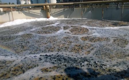 Khóa học thiết kế hệ thống xử lý nước thải bằng công nghệ MBBR