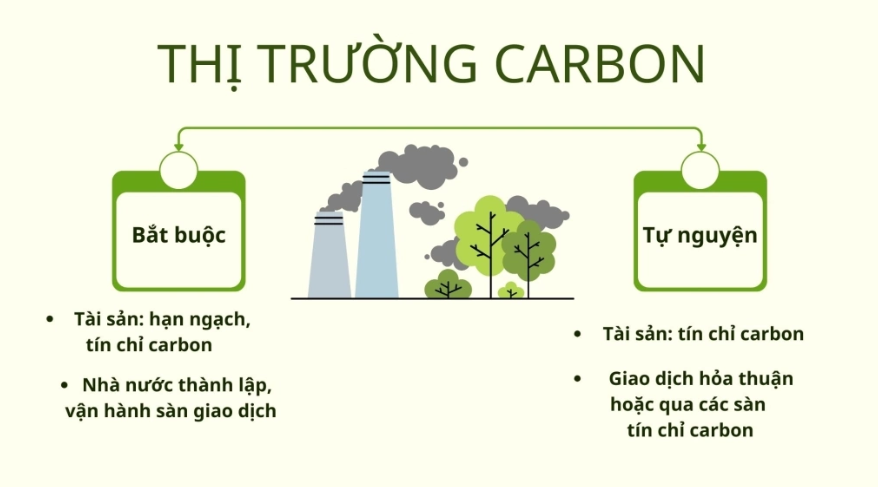 Thị trường carbon và các loại tài sản carbon
